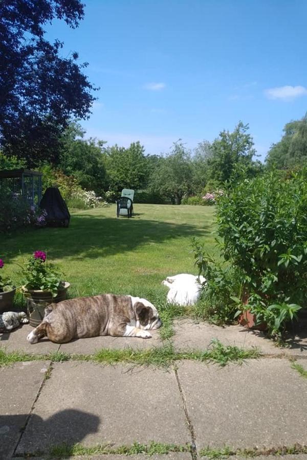 Bed and Breakfast Twenty Skellingthorpe Exterior foto