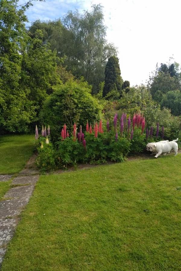 Bed and Breakfast Twenty Skellingthorpe Exterior foto